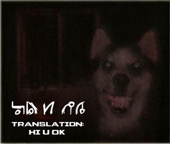 File:SmileDogIsFunny.jpg