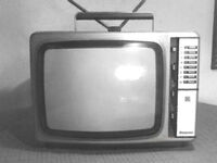 Fernseher
