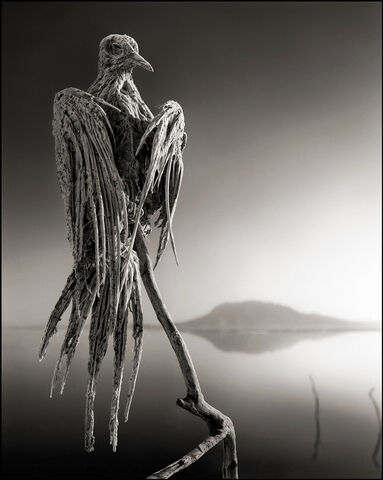 File:Clay bird.jpg