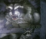 AAARaccoon