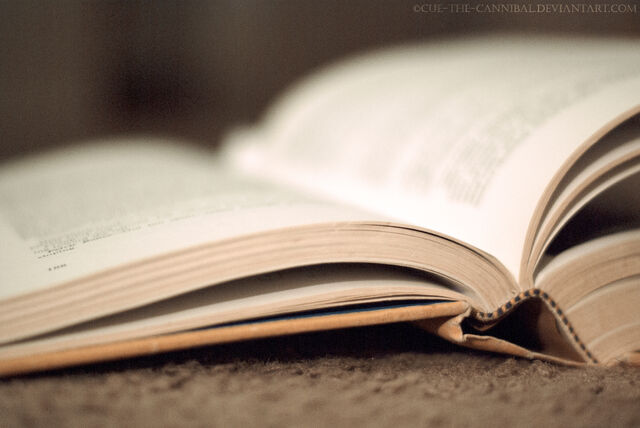 File:Never ending study.jpg