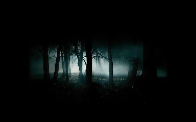File:Dark-forest.jpg