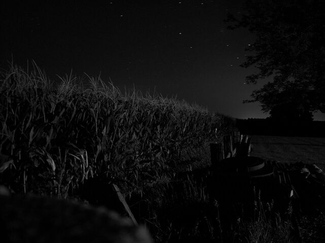 File:Cornfield-0.jpg