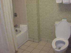 Simple-bathroom-photos