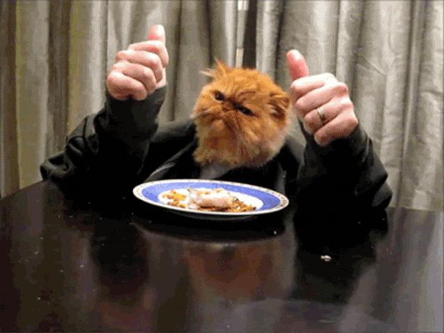 File:Thumbs-up.gif