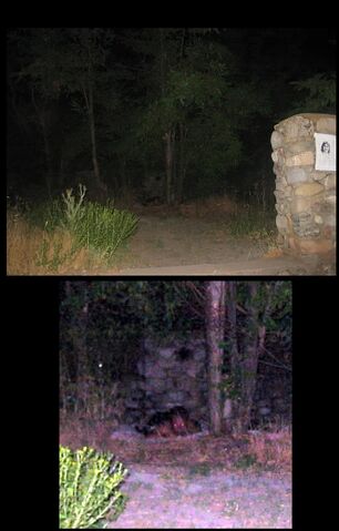 Arquivo:1390252562455.jpg