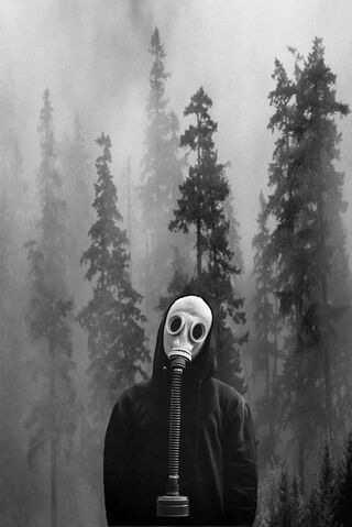 Arquivo:61588755b574e361f59bc06488326c91--creepy-things-cool-things.jpg