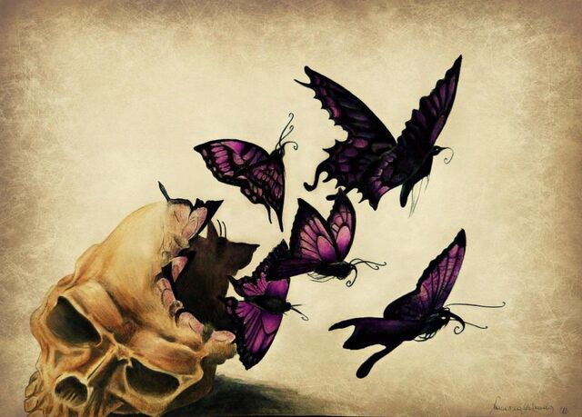 Arquivo:Dream-black-butterfly-drawing-Favim.com-580793.jpg
