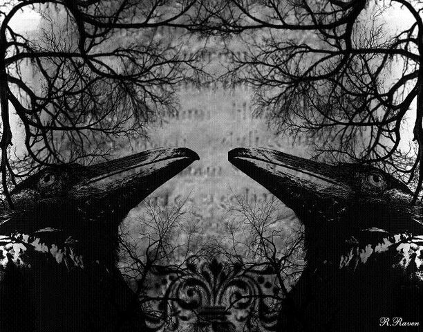 Arquivo:Thecrow.jpg