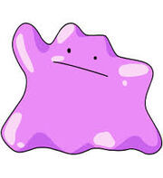 Ditto.jpg