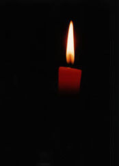 Candela.jpg