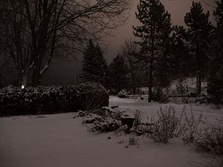 Neve-notte