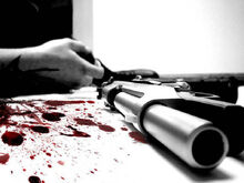 Gun