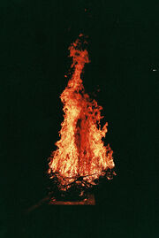 Flamessssss.jpg