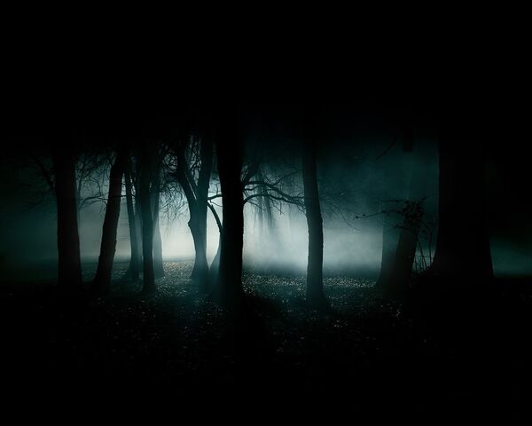File:Dark Forest.jpg