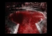 The pool of blood
