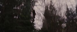 Renesmee saltando