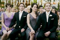 Bd still 4 (smaller).jpg