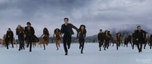 Bd2 battlebegins.jpg