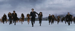 Bd2 battlebegins.jpg