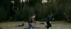 Jasper-chasing-alice's-opponent.jpg