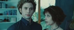 Twilight 0143.jpg