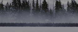 Guardia Volturi.png