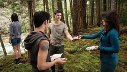 DiarioTwilight 21-wolf-esme-bd-.jpg