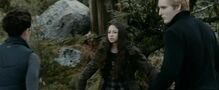 Eclipse-bree-esme-carlisle.jpg