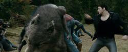 Emmett-saves-paul.jpg