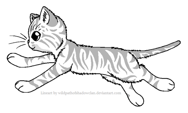 File:WindClanTabby.png