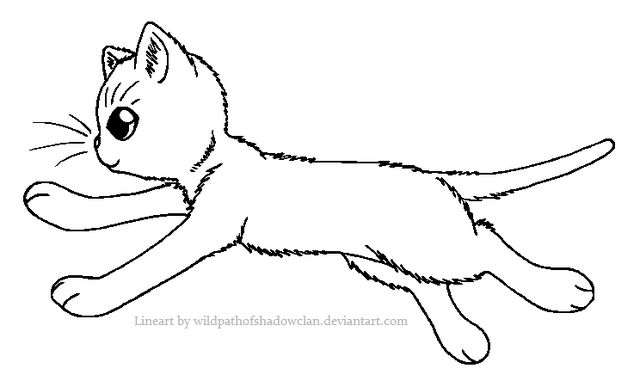 File:WindClan.png
