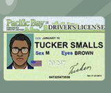 Driverlicense