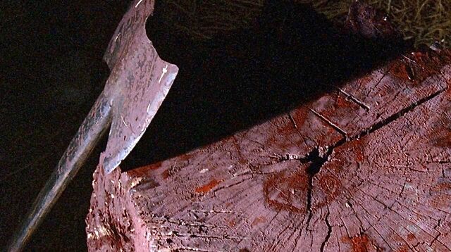 File:Birthright.jpg