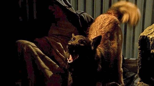 File:918 RABID.jpg