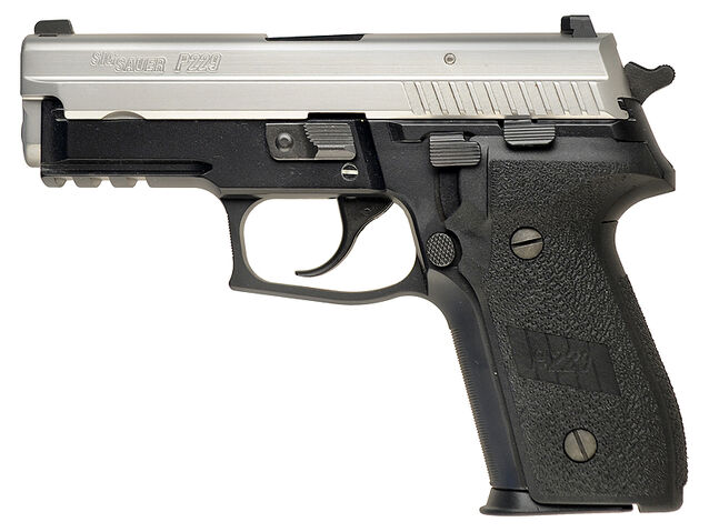 File:SIG-SauerP229RTwoTone.jpg