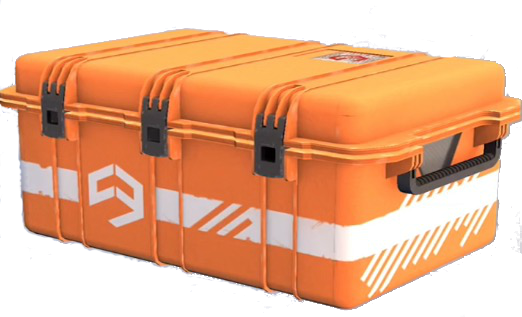 File:SkinCase2.png