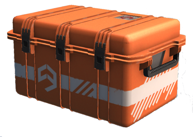 File:SkinCase.png