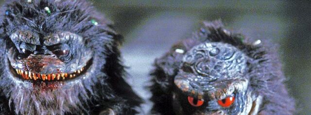 File:Backtop critters4.jpg