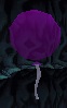 Balloon