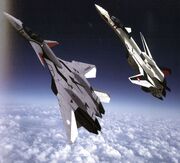 VF11VF19