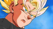 Roku Super Saiyan