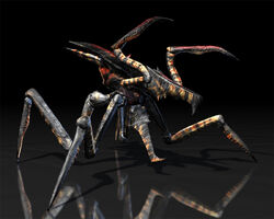 Arachnid