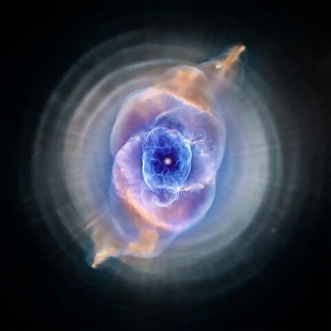 File:Tumblr neiicxq4rc1tlyemfo3 500.jpg