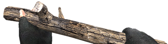 File:Branch.png