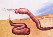 Death worm dos.jpg (8 KB) Death worm dos