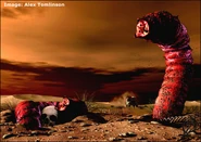 Mongolian Death Worm, Alex Tomlinson.jpg (44 KB) Mongolian Death Worm, Alex Tomlinson