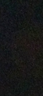 Cryptid one