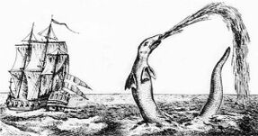 640px-Hans Egede sea serpent 1734-300x158