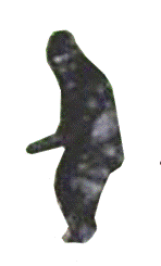 File:Watch.png